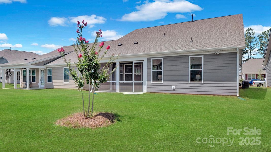 Back Exterior Back Exterior