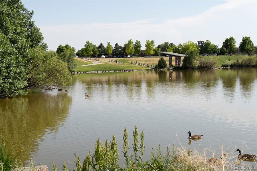 Natural landscape and outdoor views near  in Aurora (Image 42).
