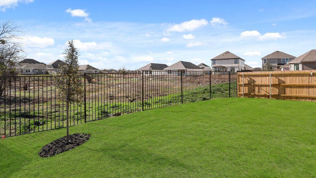 Backyard Backyard