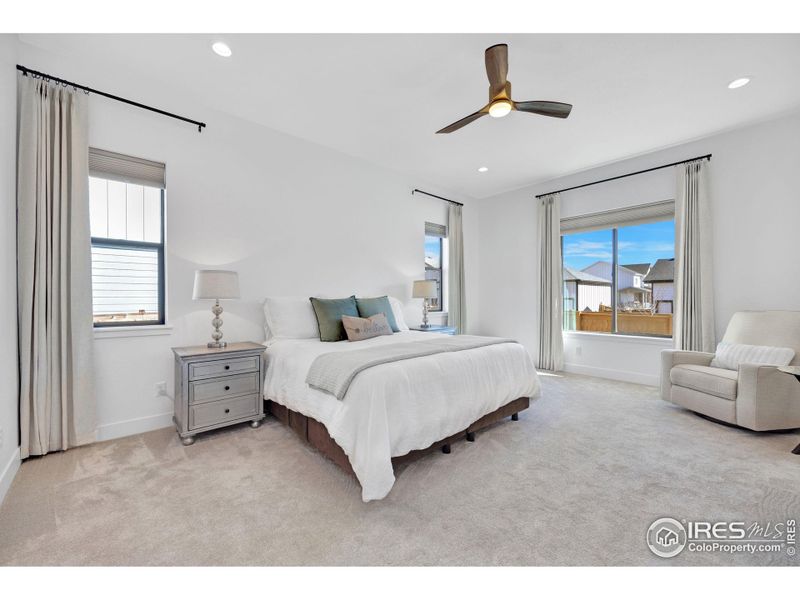 Primary bedroom with natural light and ceiling fan