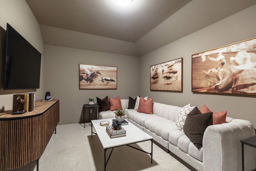 Representative Entertainment Room - some options shown