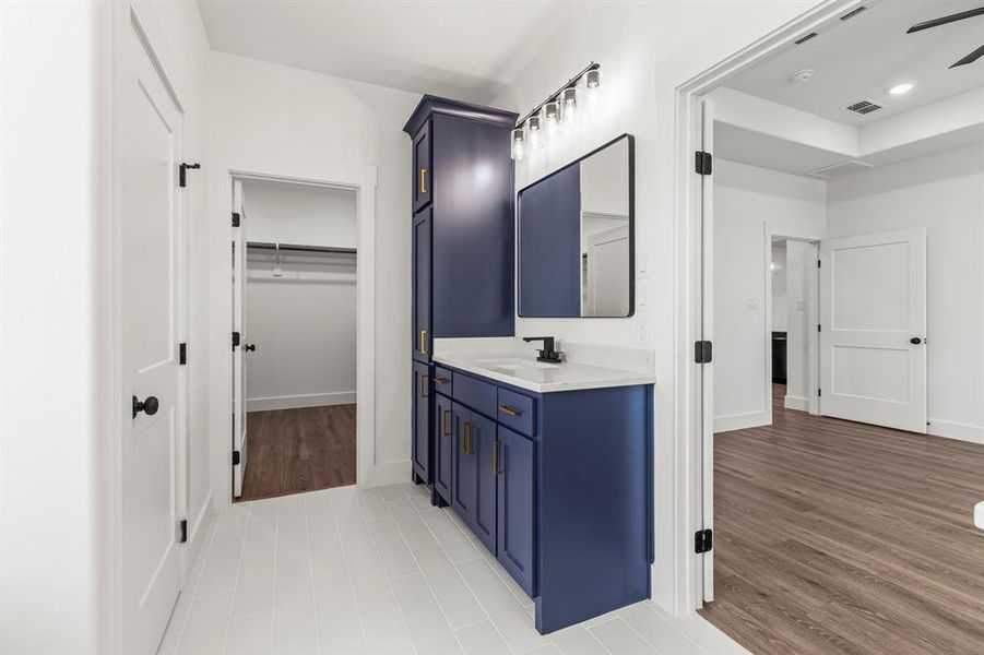 Bathroom with vanity, a walk in closet, wood finished floors, and a ceiling fan