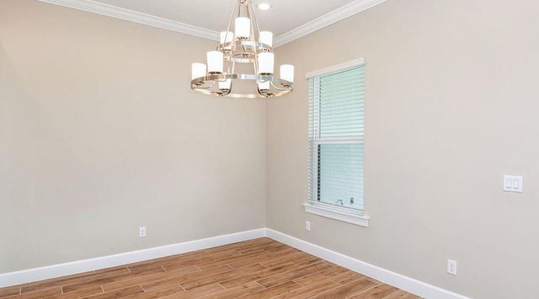 REPRESENTATIVE PHOTOS