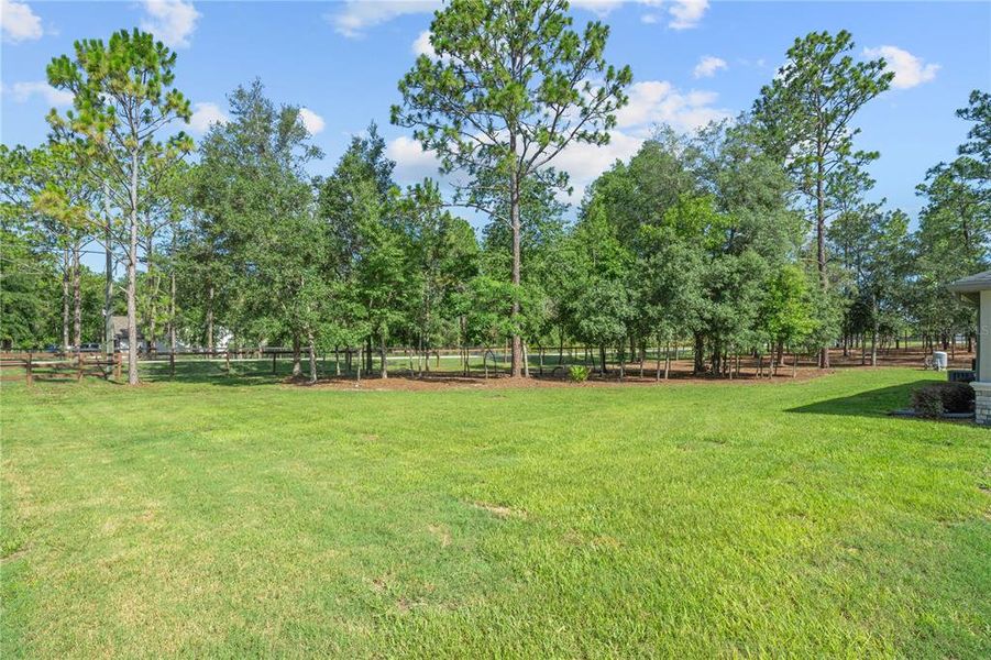 Natural landscape and outdoor views near  in Dunnellon (Image 55).