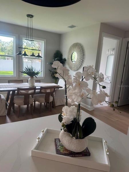 Furnished interior view inside a new home in , Tampa (Image 15).