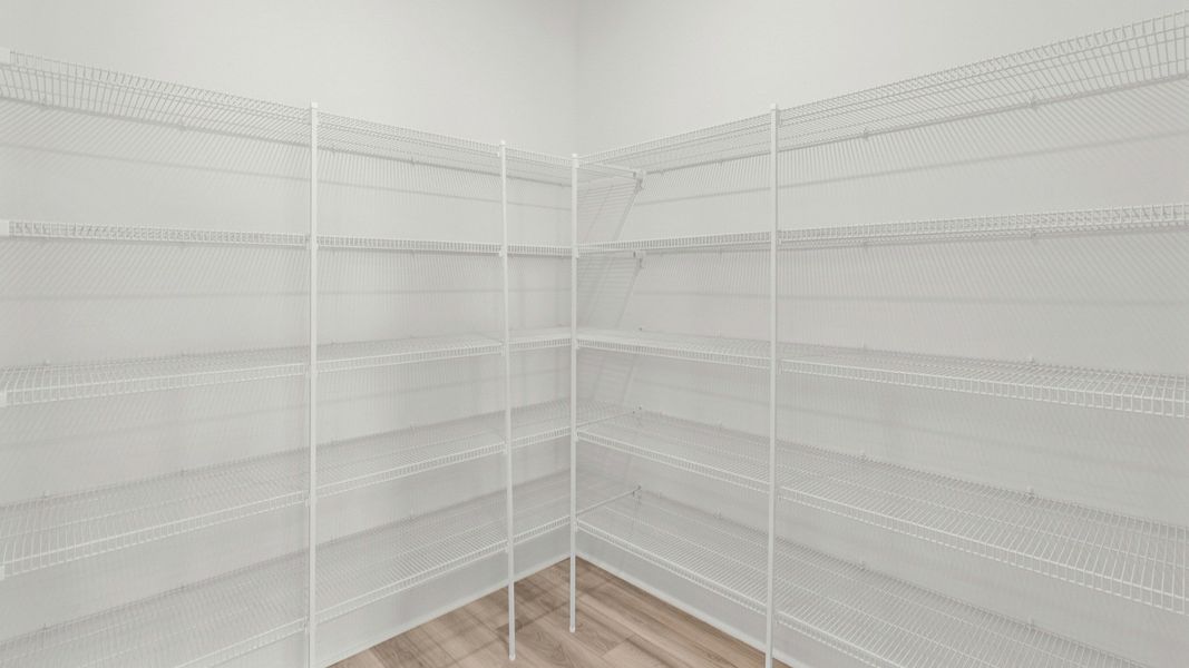 Spacious walk-in pantry with built-in shelving at Chestnut Farms by DRB Homes