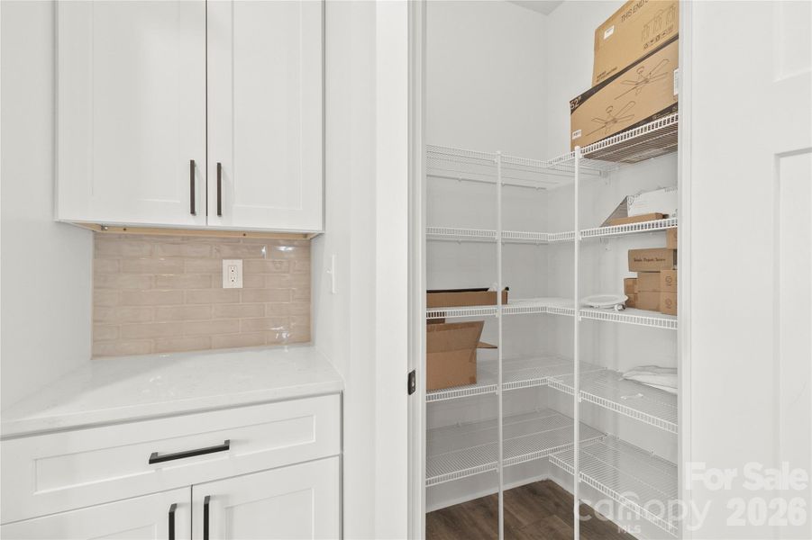 Large pantry with extra row of shelving.The countertop area can be a coffee station. It sits in between refrigerator and pantry