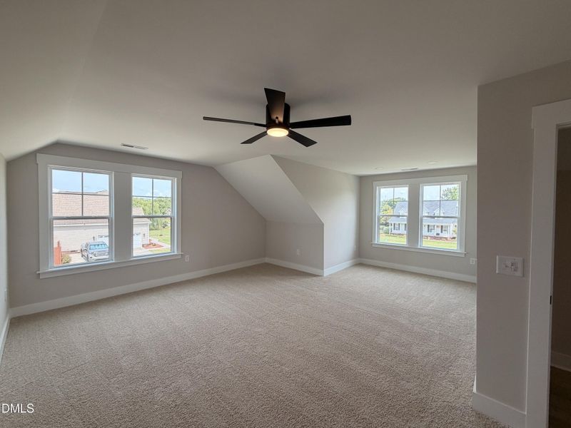 IMG_1528 IMG_1528