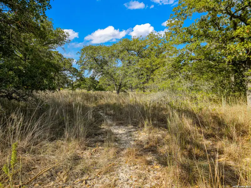Natural landscape and outdoor views near  in Seguin (Image 32).