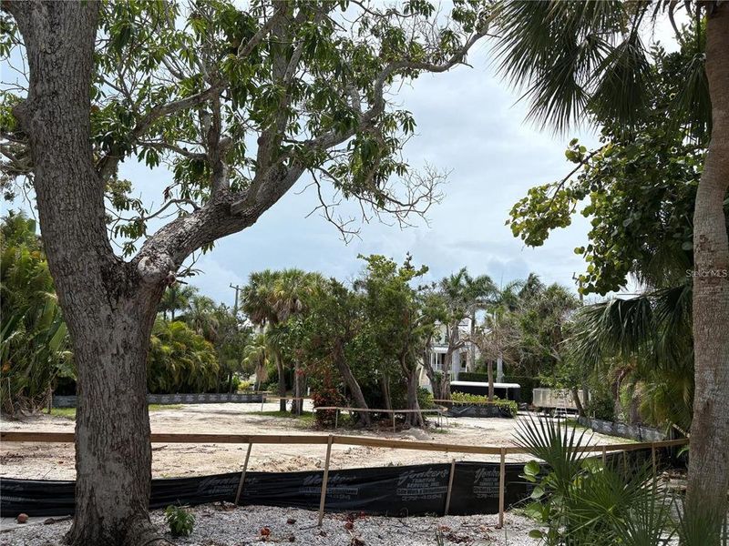 Natural landscape and outdoor views near  in Sarasota (Image 8).