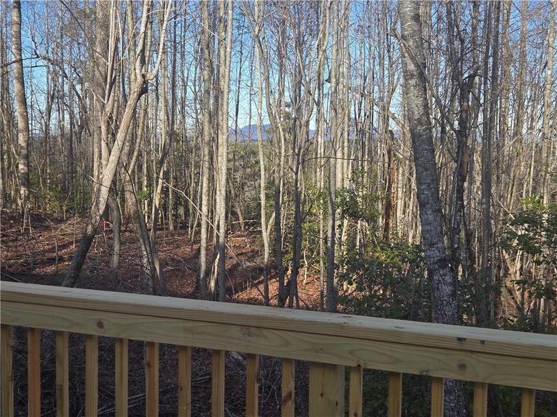 Natural landscape and outdoor views near  in Demorest (Image 29).