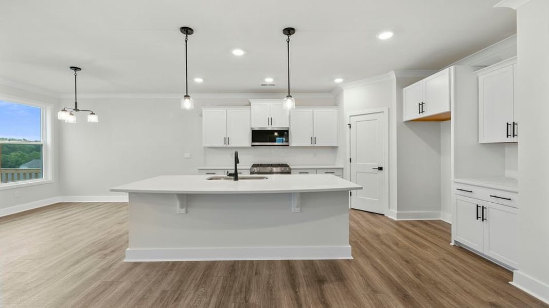 Furnished interior view inside a new home in Whitehawk Meadows, Travelers Rest (Image 9).