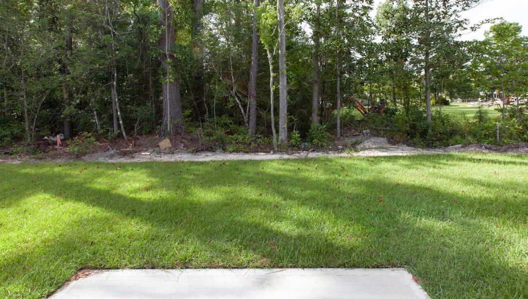 Natural landscape and outdoor views near Eagle Creek in Bolivia (Image 23).