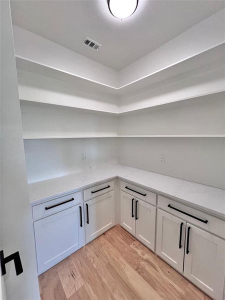 Pantry with built in base cabinets and quartz counter top