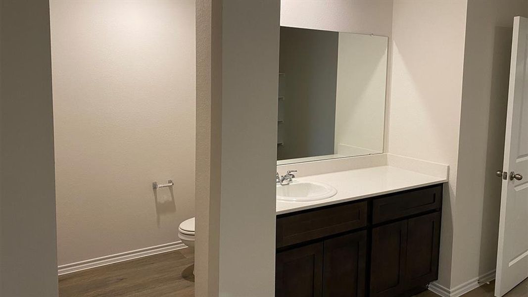 Bathroom featuring vanity and dark wood-style flooring
