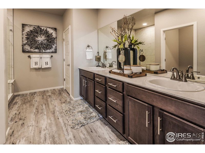 EXAMPLE PHOTO: MASTER BATH