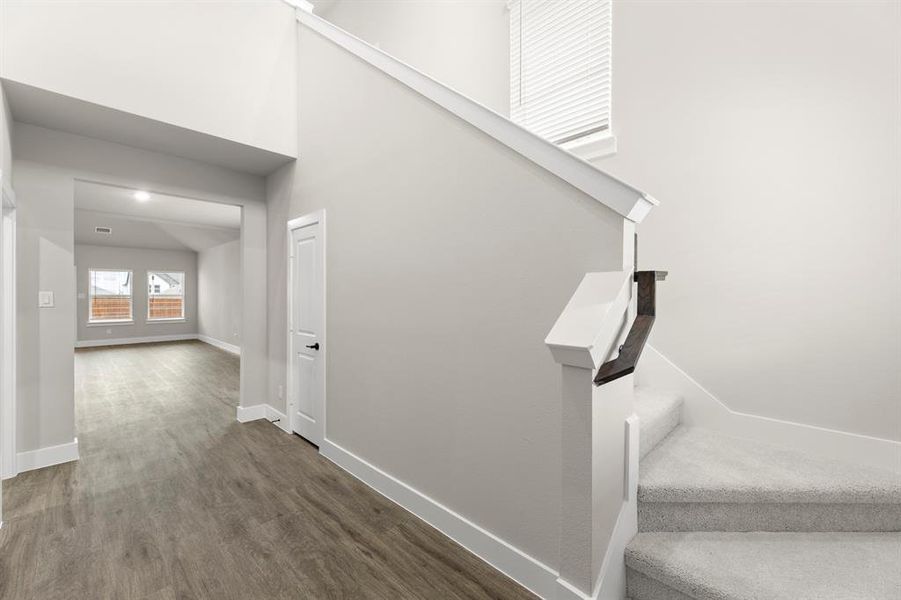 04. 709 Wilderness - Entry (2) 04. 709 Wilderness - Entry (2)