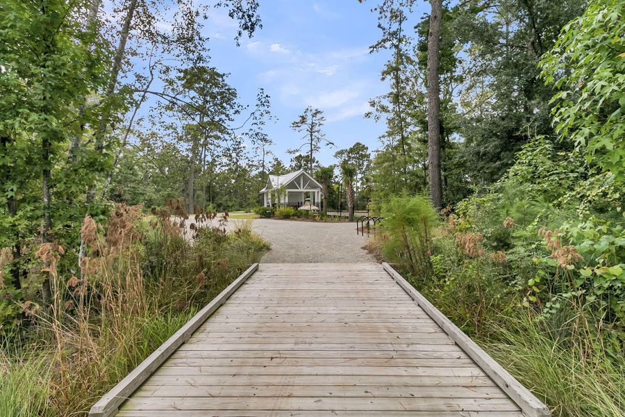 Natural landscape and outdoor views near  in Charleston (Image 44).