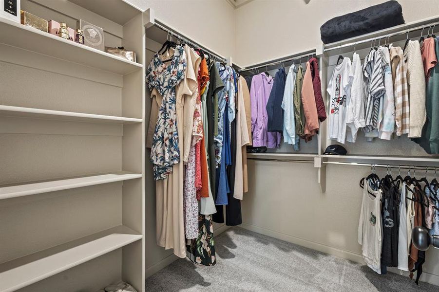 Spacious closet with carpet flooring