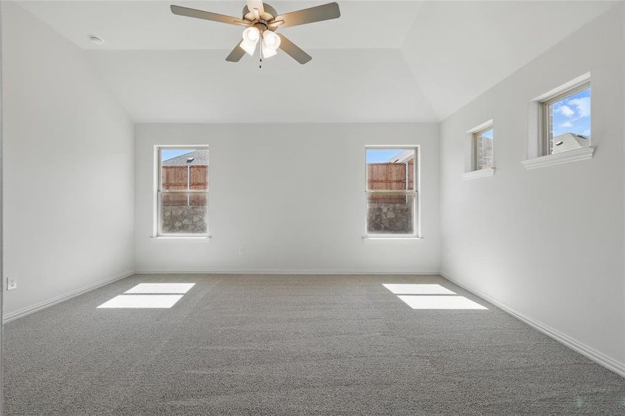 Empty room with lofted ceiling, carpet, baseboards, and a wealth of natural light