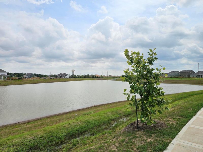 View behind the house View behind the house