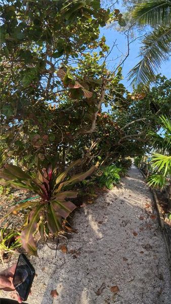 Natural landscape and outdoor views near  in Holmes Beach (Image 4).