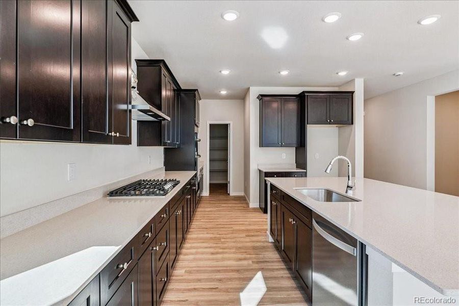 Furnished interior view inside a new home in Floret Collection at Alder Creek, Parker (Image 6).