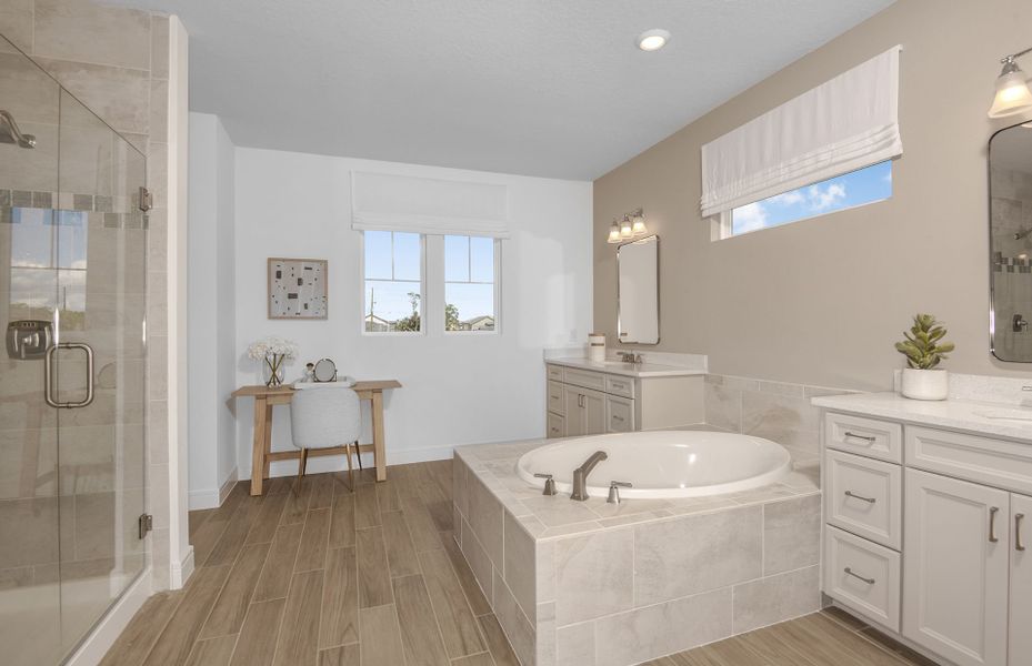 Luxury Owner's Bath with Soaking Tub