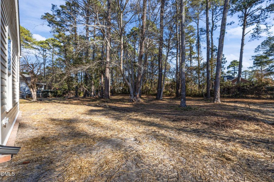 43-web-or-mls-0C0A9484