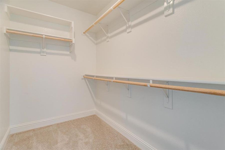 Spacious closet featuring carpet floors