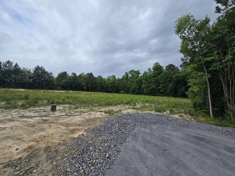 Site preparation for new homesites in , Holly Hill (Image 10).