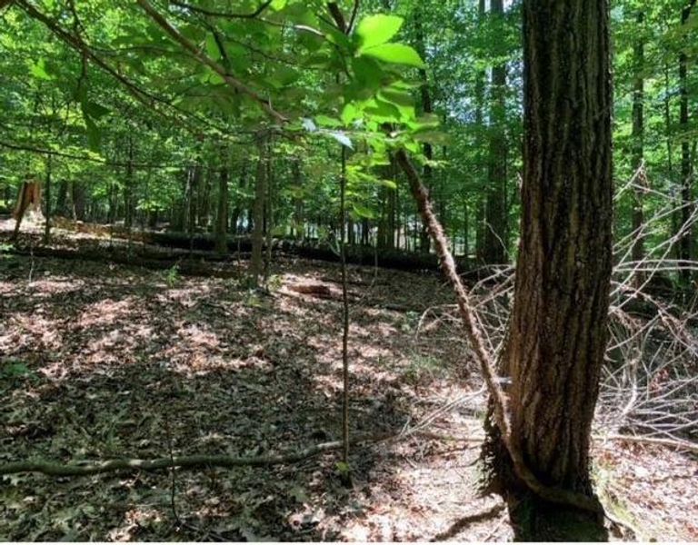 Image 9 of a home in .