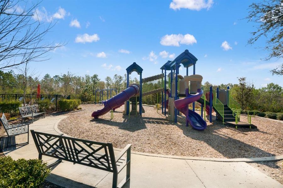 Community amenities in , Wesley Chapel (Image 39).