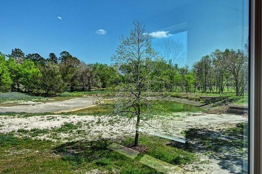 This photo showcases a serene view from a window, overlooking a partially wooded area with a small pond. The landscape features a mix of open grassy spaces and mature trees, providing a peaceful, natural setting.