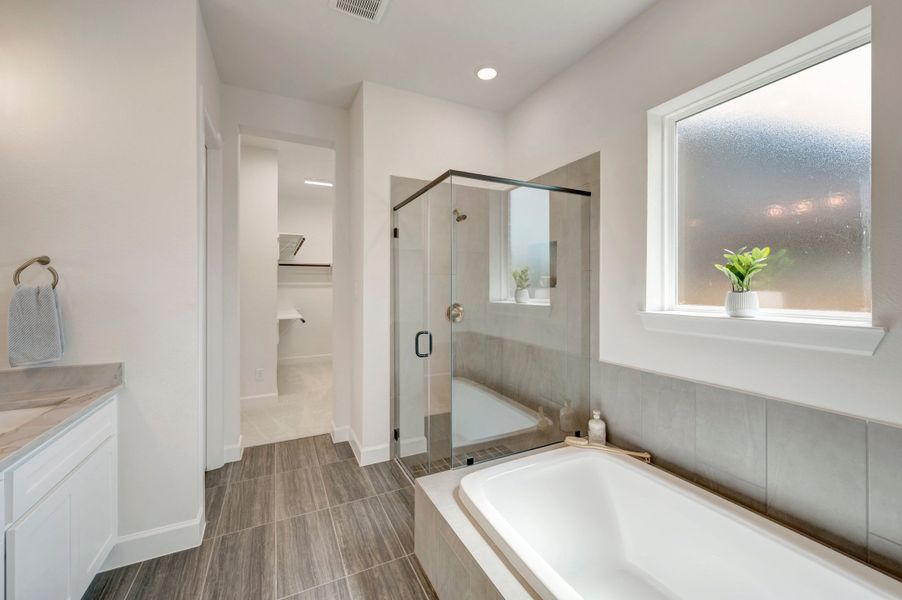 Owner's Bath