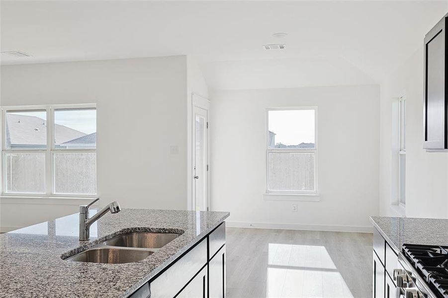 Kitchen featuring light hardwood / wood-style floors, light stone counters, a healthy amount of sunlight, and sink