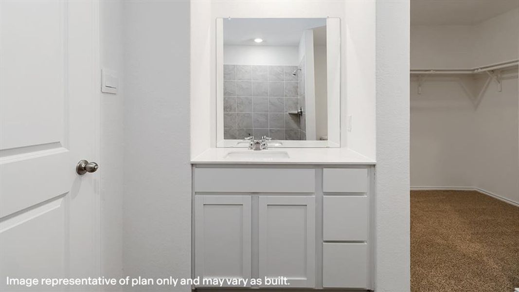 Full bath with a walk in closet, carpet, vanity, and a shower