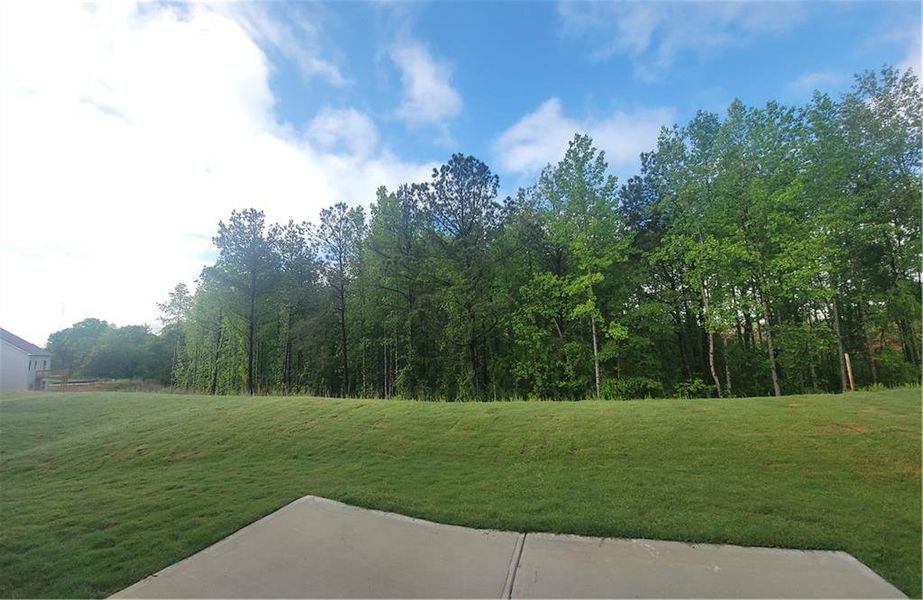 Natural landscape and outdoor views near Clark Farms in Flowery Branch (Image 30).
