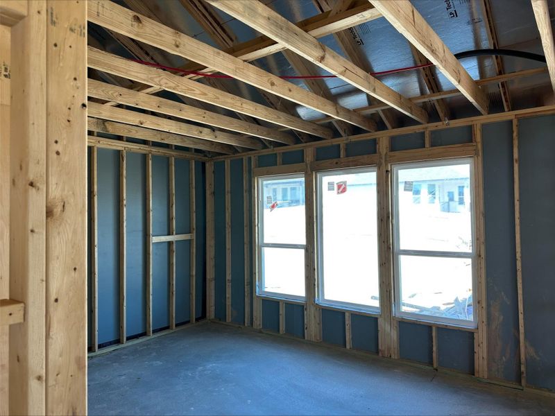 225 Coyote Willow Way - Under Construction