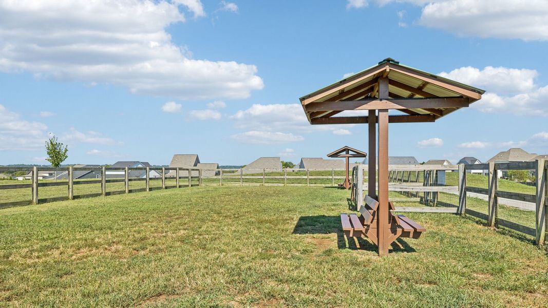 Community amenities associated with the BRYAN A by D.R. Horton in Harvest Point, Spring Hill (Image 9).