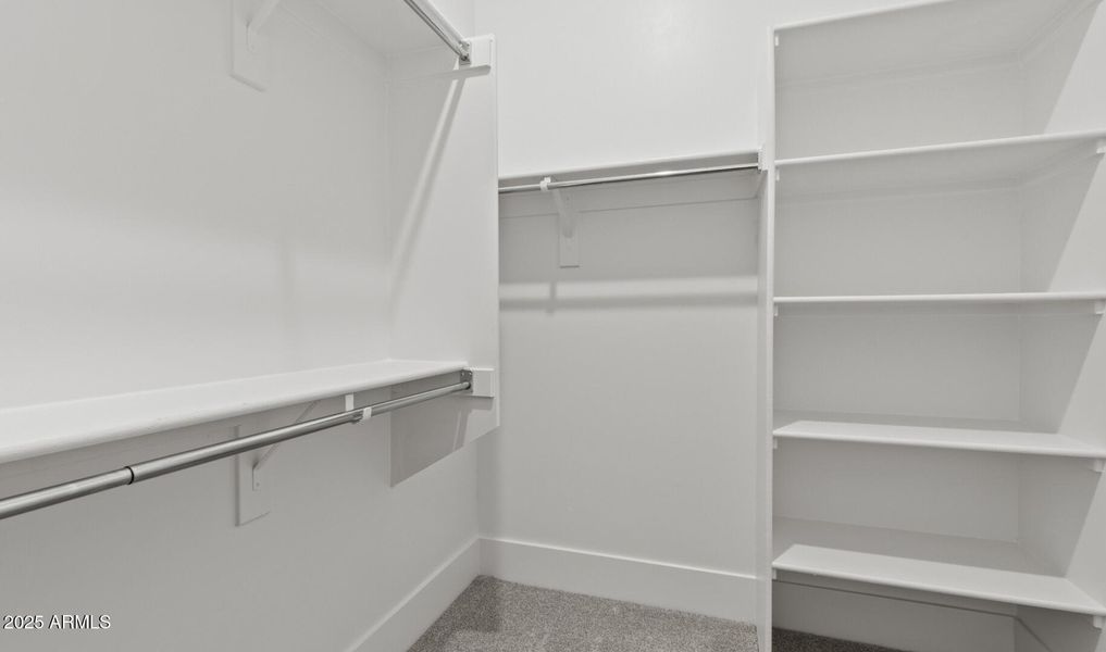 FSVV Lot #68 Primary WIC (Large) FSVV Lot #68 Primary WIC (Large)