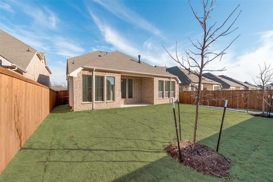 Back of house with a patio and a lawn