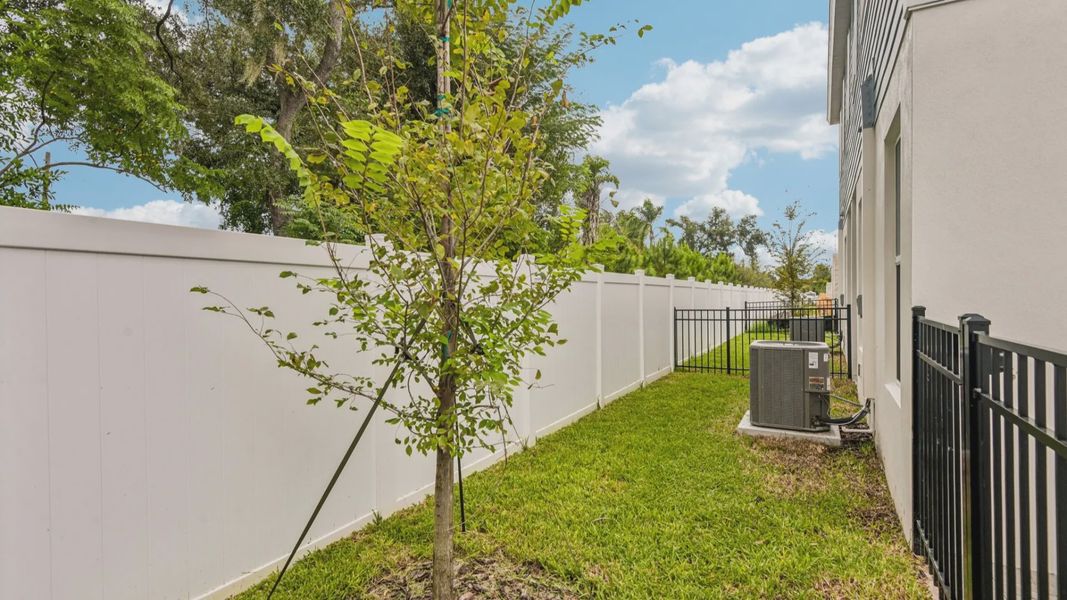 The Fenced Backyard