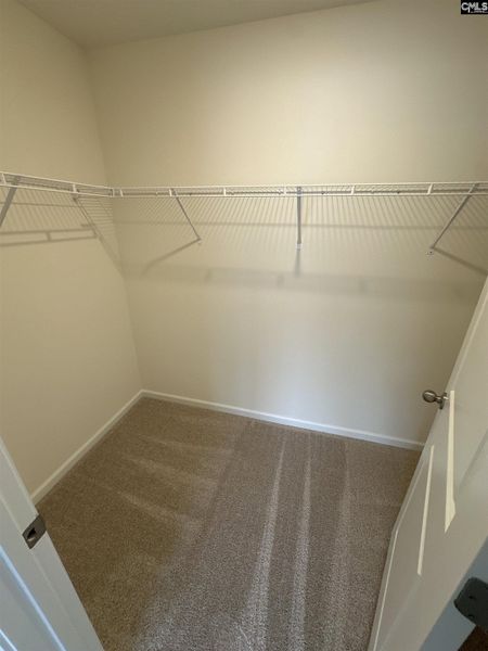 Spacious, unfurnished interior of a new home in Piney Woods Bluff, Columbia (Image 16).