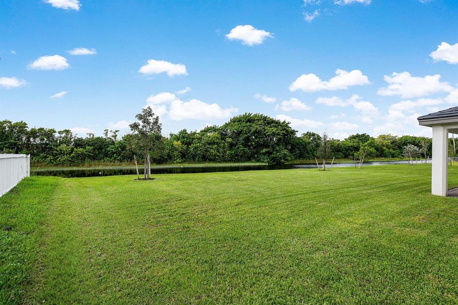 Backyard Backyard