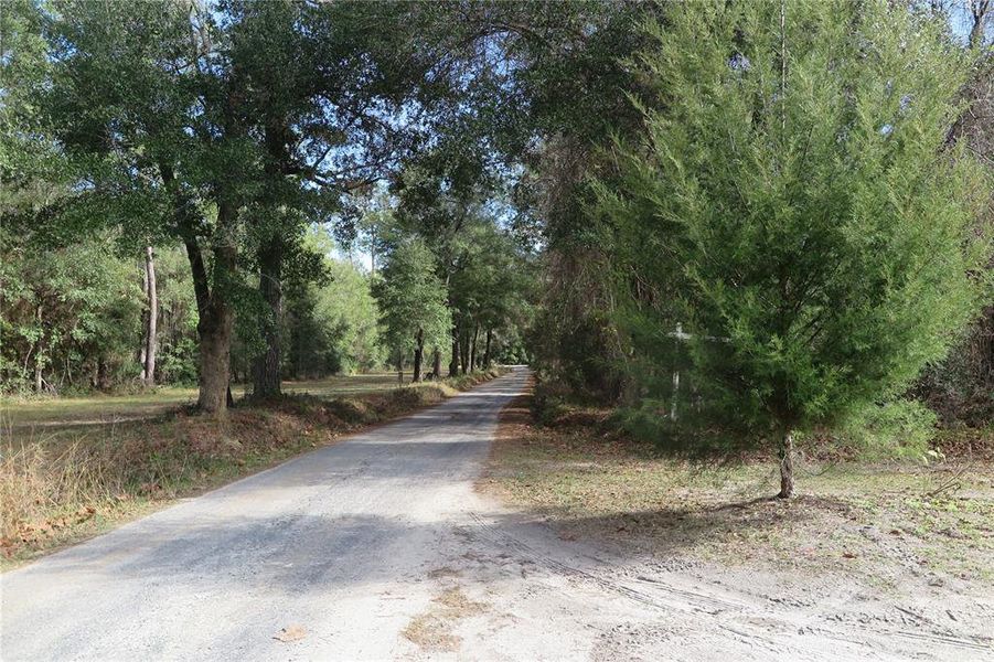 Natural landscape and outdoor views near in Hawthorne (Image 38). Natural landscape and outdoor views near in Hawthorne (Image 38).