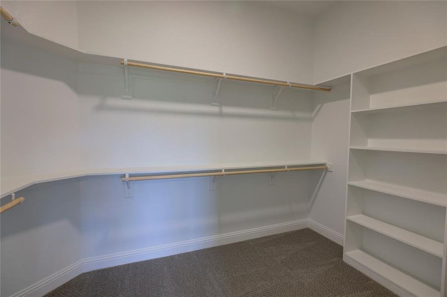 Spacious closet featuring dark carpet Spacious closet featuring dark carpet