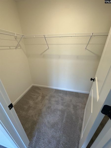 Spacious, unfurnished interior of a new home in Piney Woods Bluff, Columbia (Image 16).