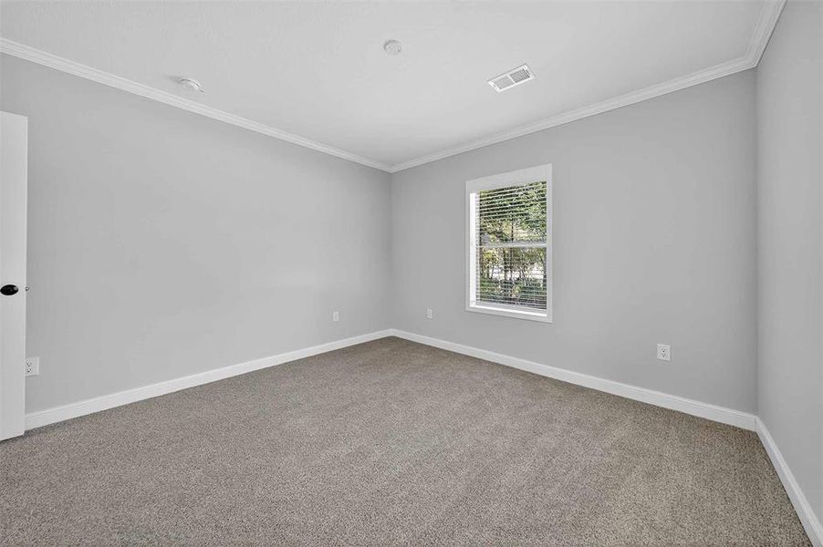 Unfurnished room with crown molding and carpet floors Unfurnished room with crown molding and carpet floors