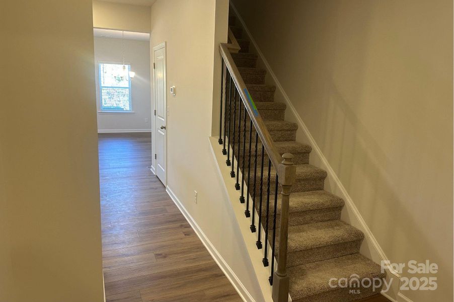 Suwanee Stairs Suwanee Stairs